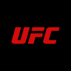 UFC 하이라이트