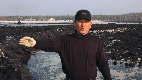 584. 제주로 봄 보러 갈래  5부 내 마음의 보석상자