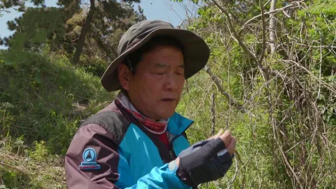 625. 행복을 찾아 부안 1부 섬마을 동창회 열리던 날