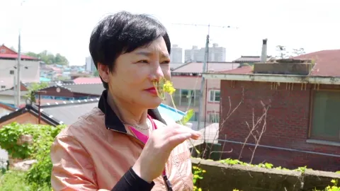 628. 행복을 찾아 부안 4부 100년 고택, 숲을 그리다