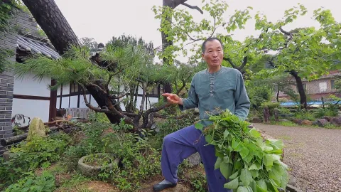 680. 두근두근, 로망대로 2부 내 멋대로 산다
