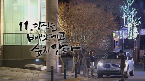 11. 로맨스가 필요해3 11화