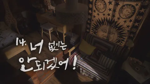 14. 로맨스가 필요해3 14화