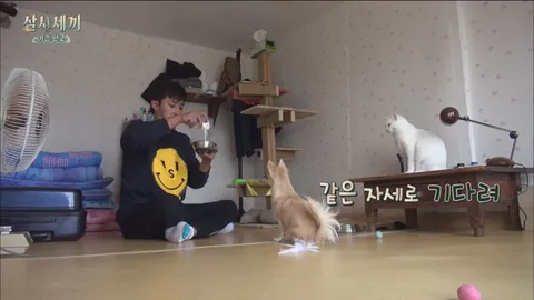 4. 삼시세끼 어촌편 2 4화