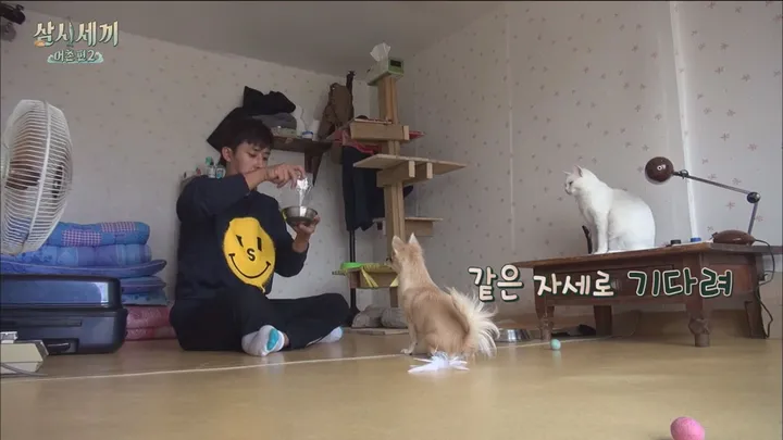 삼시세끼 어촌편 2 4화