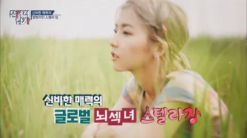뇌섹시대 문제적남자 105화