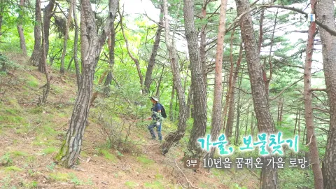207. 가을, 보물찾기 3부 10년을 꿈꿔온 가을 로망