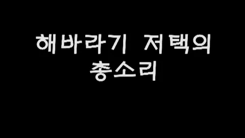 제30화 해바라기저택의총소리