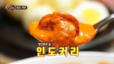 인도 커리&멕시코 타코