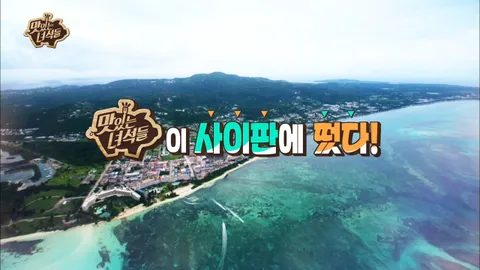 사이판 특집