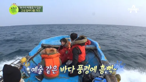 이제 만나러 갑니다 322화