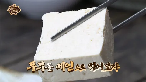 콩 요리 특집