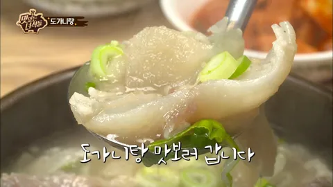 콜라겐 특집
