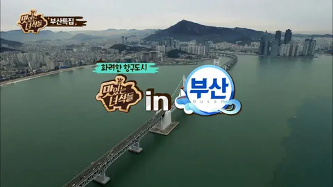 부산 특집