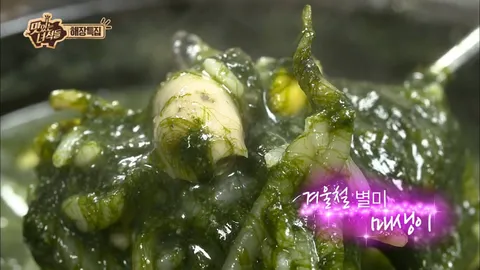 해장 특집