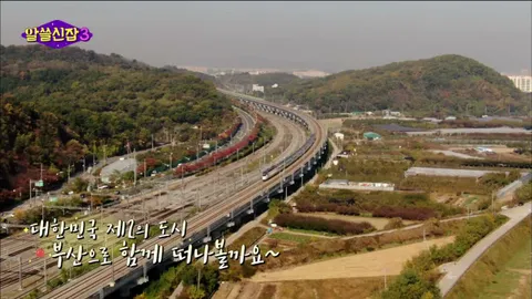 알아두면 쓸데없는 신비한 잡학사전3 9화