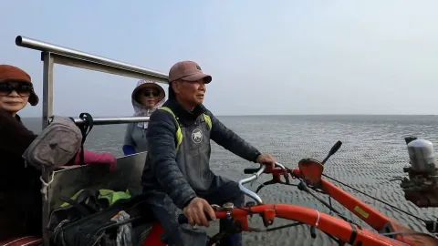 324. 나의 낭만 실현기 5부 내 쉴 곳 볼음도