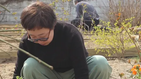 331. 봄 배달 왔습니다 2부 섬진강에 꽃이 피면