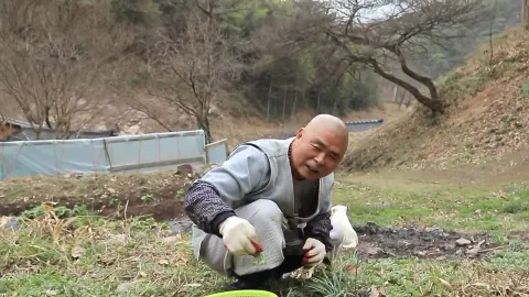 334. 봄 배달 왔습니다 5부 산속에 봄비가 내리면