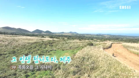 217. 그 인생 탐나도다, 제주 3부 목화오름 그 사나이