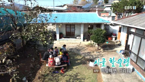 238. 시골 할슐랭 4부 이맘때면 그리워