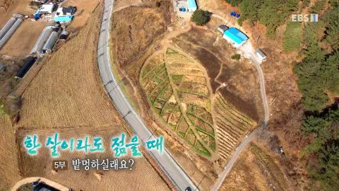 249. 한 살이라도 젊을 때 5부 밭멍하실래요?
