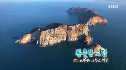 255. 황홀한 고립 1부 로빈슨 크루소처럼