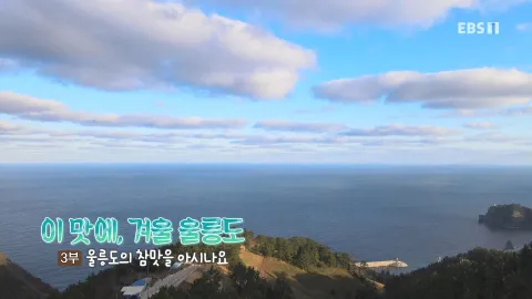 262. 이 맛에, 겨울 울릉도 3부 울릉도의 참맛을 아시나요