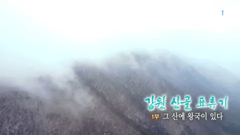 275. 강원 산골 표류기 1부 그 산에 왕국이 있다