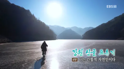278. 강원 산골 표류기 4부 나는 간헐적 자연인이다