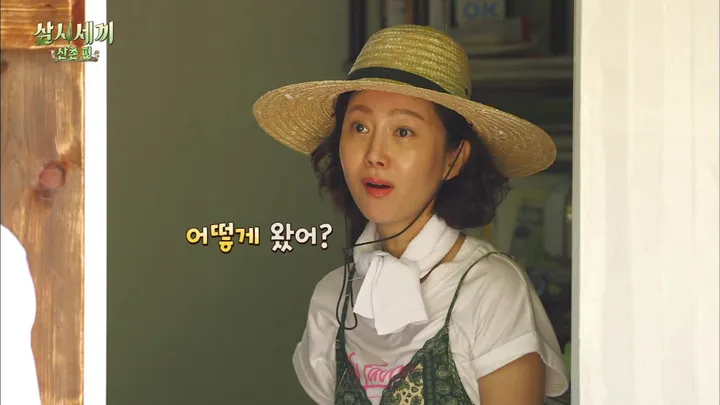 2. 삼시세끼 산촌편 2회