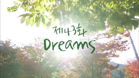 유 퀴즈 온 더 블럭 43화
