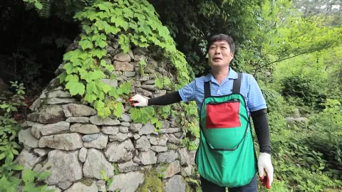 391. 저 너머, 그곳에 가면 2부 여름 보약, 엄마 밥