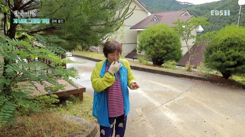 394. 저 너머, 그곳에 가면 5부 보약 같은 친구야