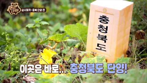 삼시몇끼 달력 제작 편