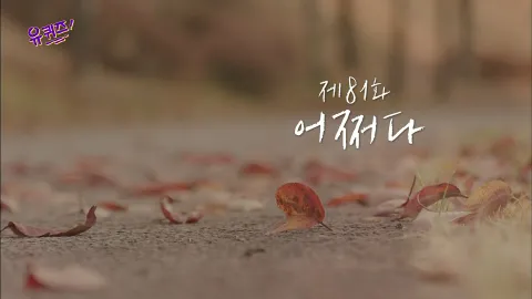 유 퀴즈 온 더 블럭 81화