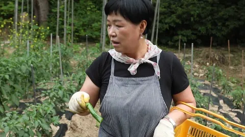 401. 쉼이 필요한 당신에게 2부 산사의 뜨락에서