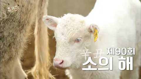 유 퀴즈 온 더 블럭 90화