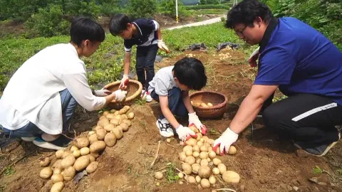 418. 더위 탈출 피서 명당 4부 우리들의 여름방학