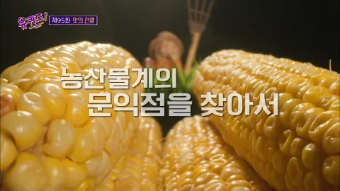 유 퀴즈 온 더 블럭 95화