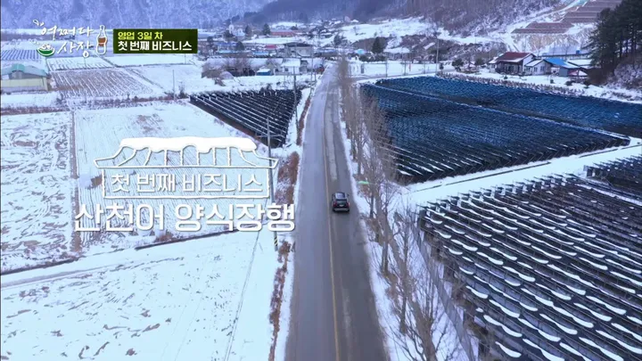 어쩌다 사장 4화