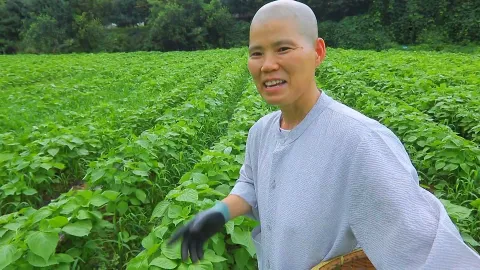 427. 그 여름의 밥심 3부 산사의 여름 성찬