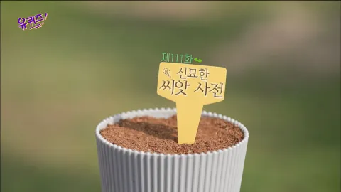 유 퀴즈 온 더 블럭 111화