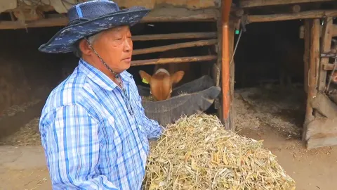 446. 함께라서 좋아 2부 산골 노부부가 사는 법