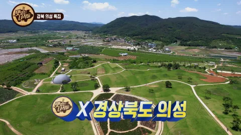 경북 의성 특집 (마늘소요리&닭발)