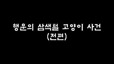 제6화 행운의삼색털고양이사건(전편)