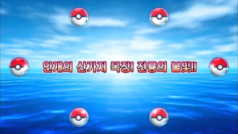 5. 안개의 산가지목장!! 전룡의 불빛!!