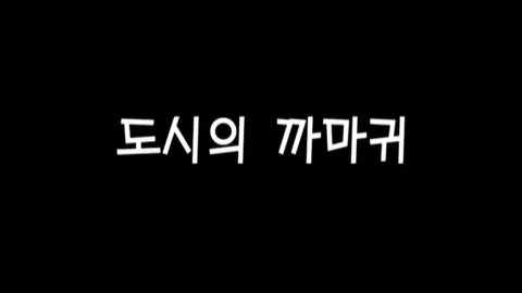 제4화 도시의까마귀
