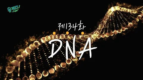유 퀴즈 온 더 블럭 134화