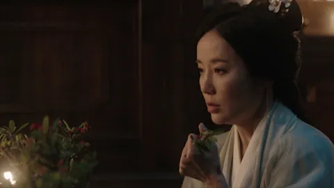 초씨 일가의 몰락
